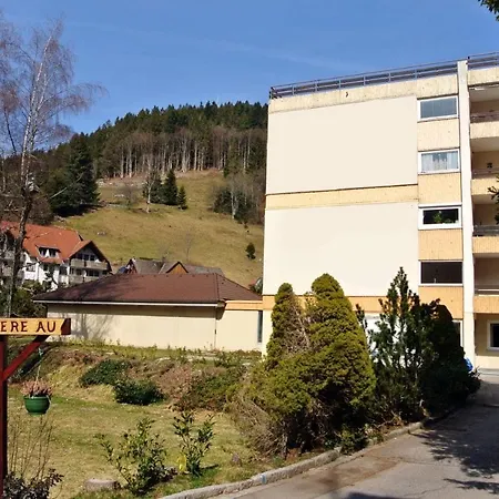 Haus Enere Au Fewo Antonia Und Fewo Milan Todtmoos Exterior photo
