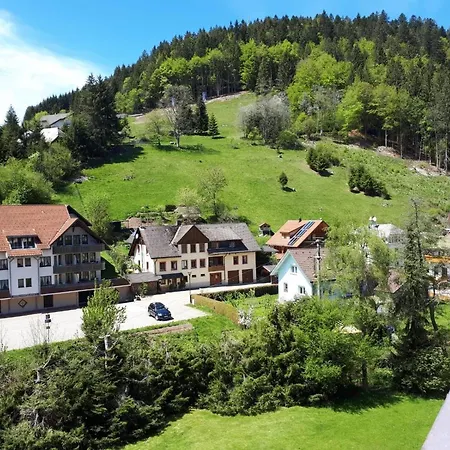 Haus Enere Au Fewo Antonia Und Fewo Milan Todtmoos Exterior photo